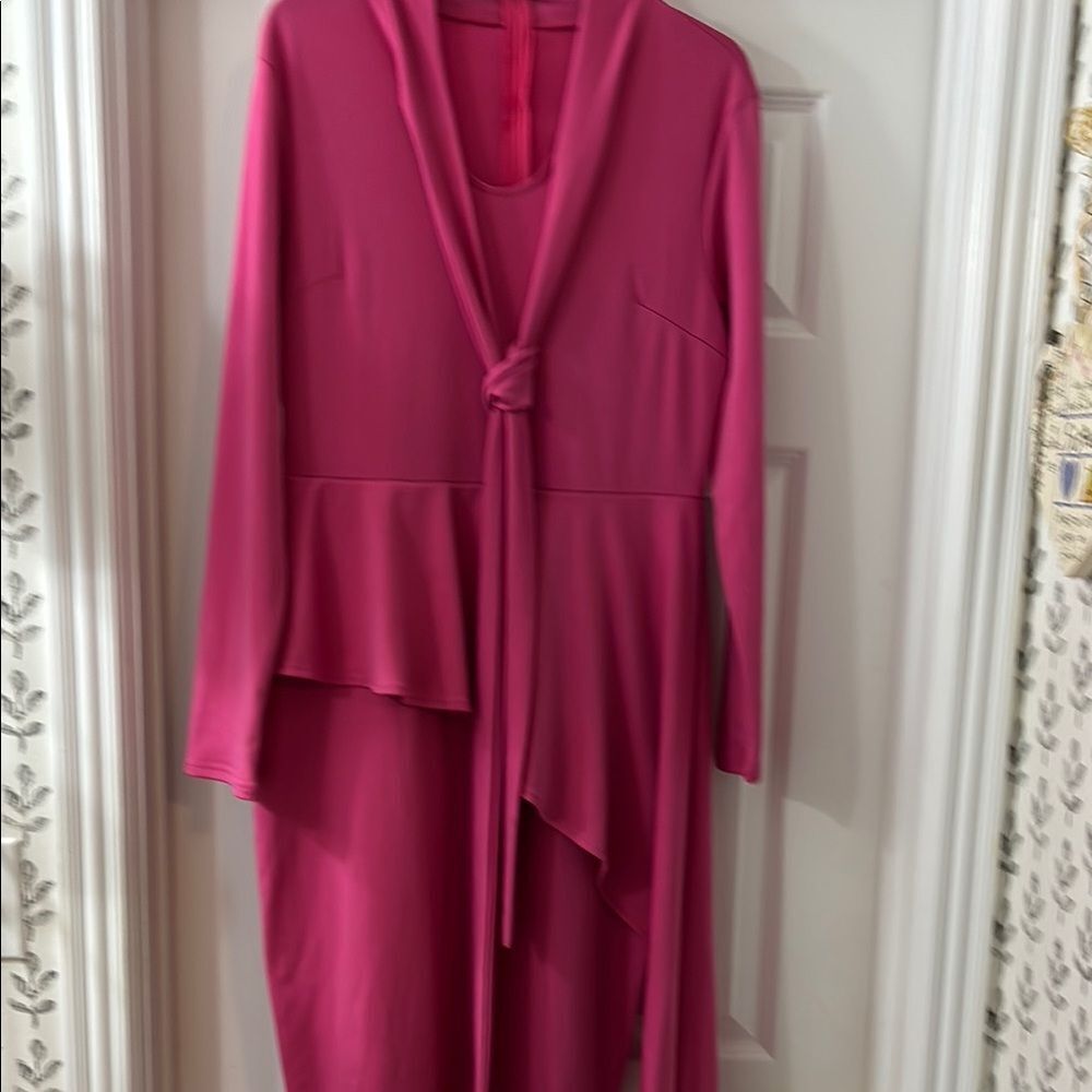 Elegant Pink Long-Sleeve Dress